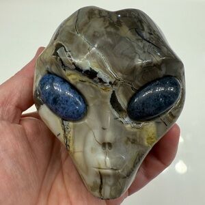 Volcano Agate Alien Head